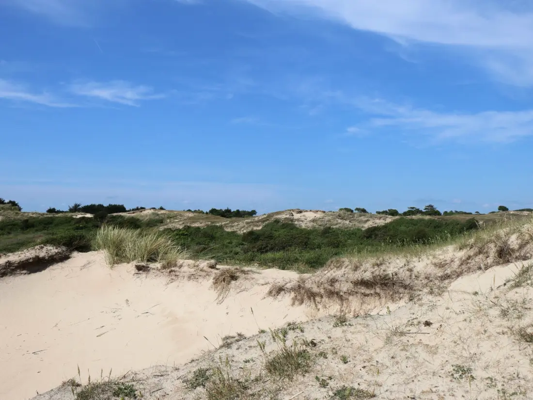 Maison de Vacances Bretteville sur Ay