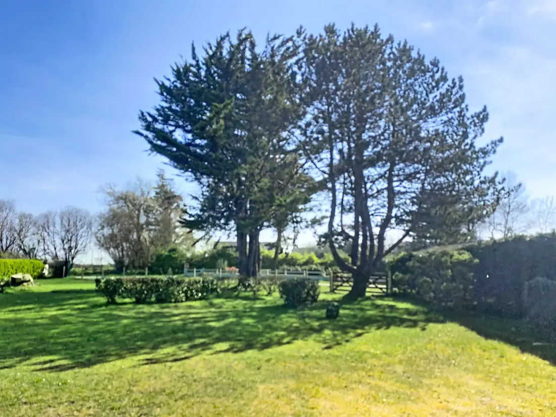 Maison de Vacances Bretteville sur Ay