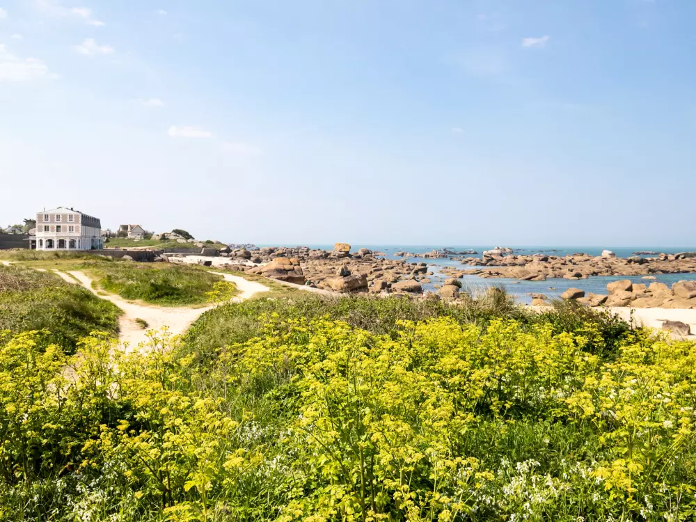 Résidence Les Chardons Bleus 2