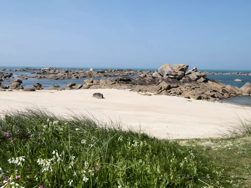 Résidence Les Chardons Bleus 2