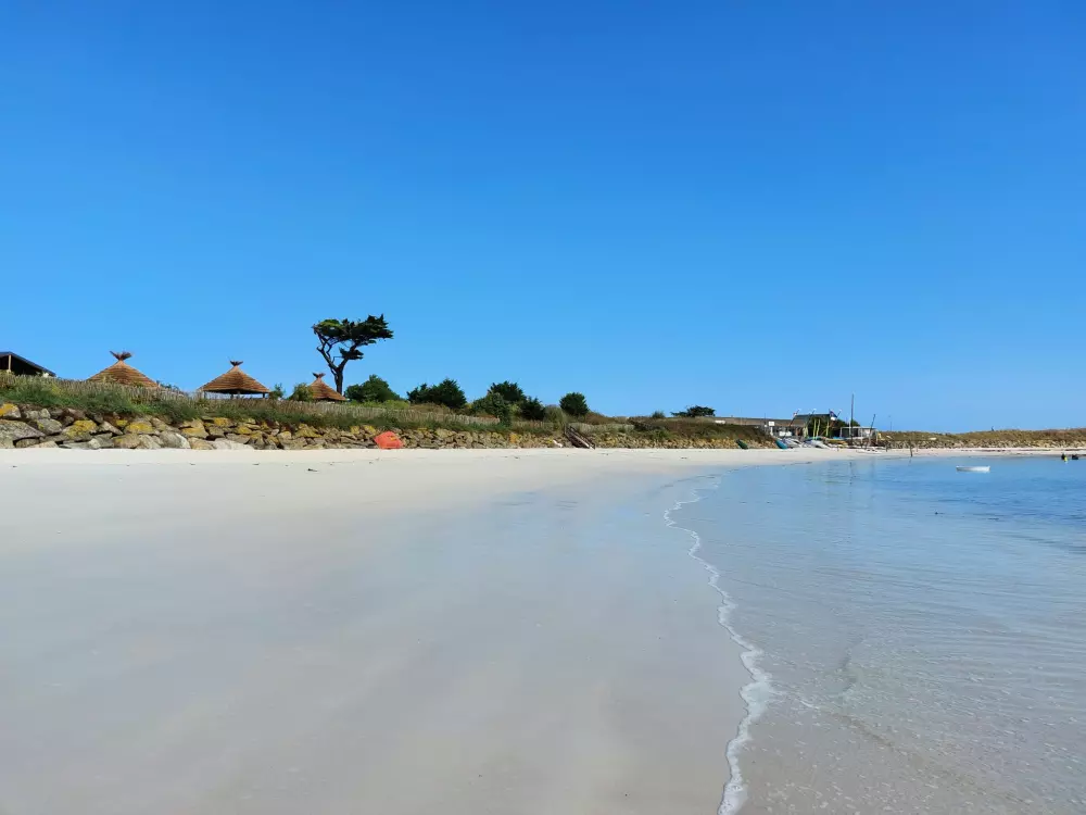 Résidence Les Chardons Bleus 2