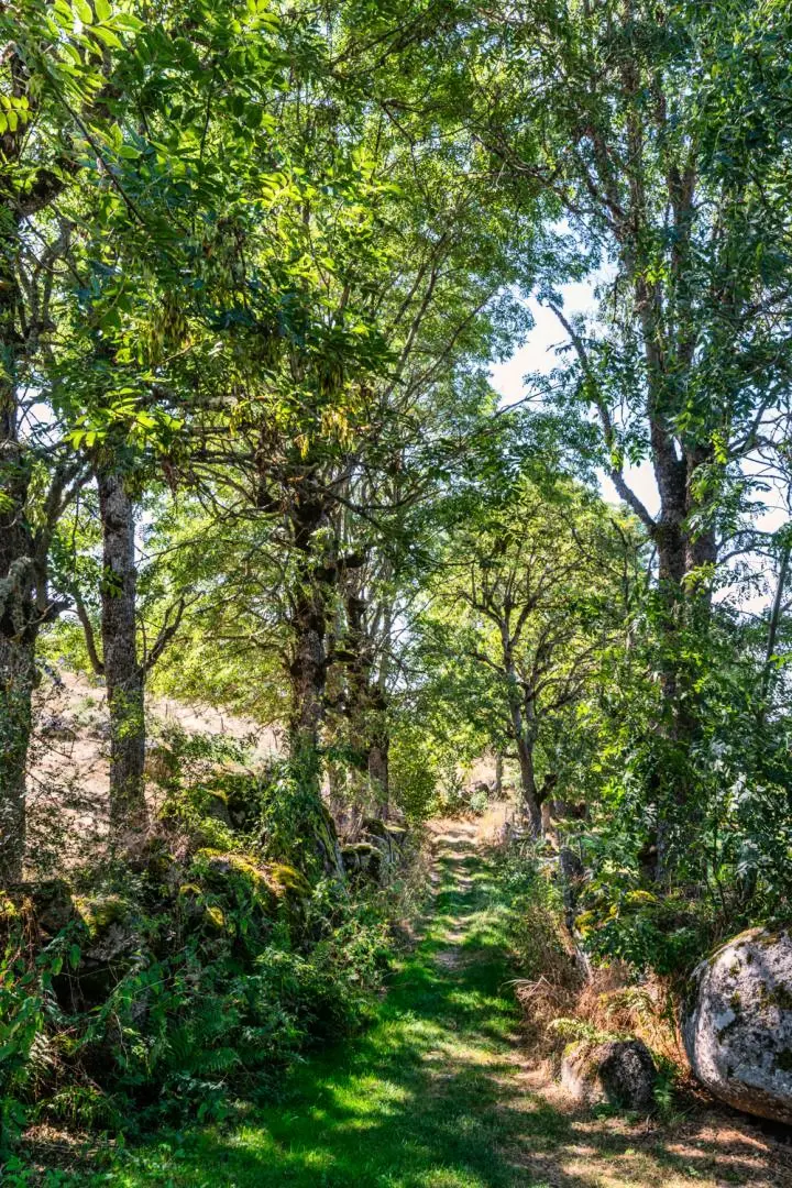 Gîte de France Gîte les bouteillers 6/8 personnes 3 épis
