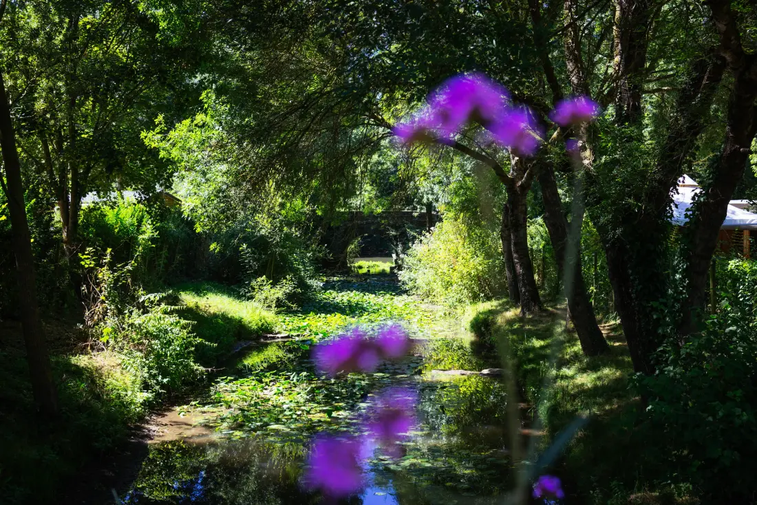 Camping de l'Etang Sites et Paysages 4 étoiles★★★★