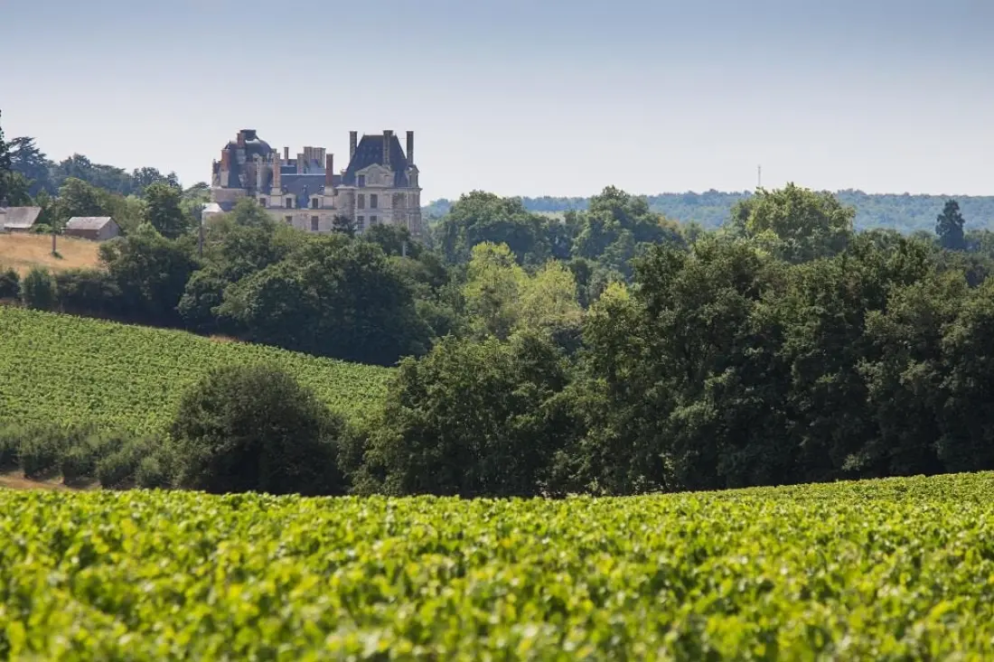 Camping de l'Etang Sites et Paysages 4 étoiles★★★★