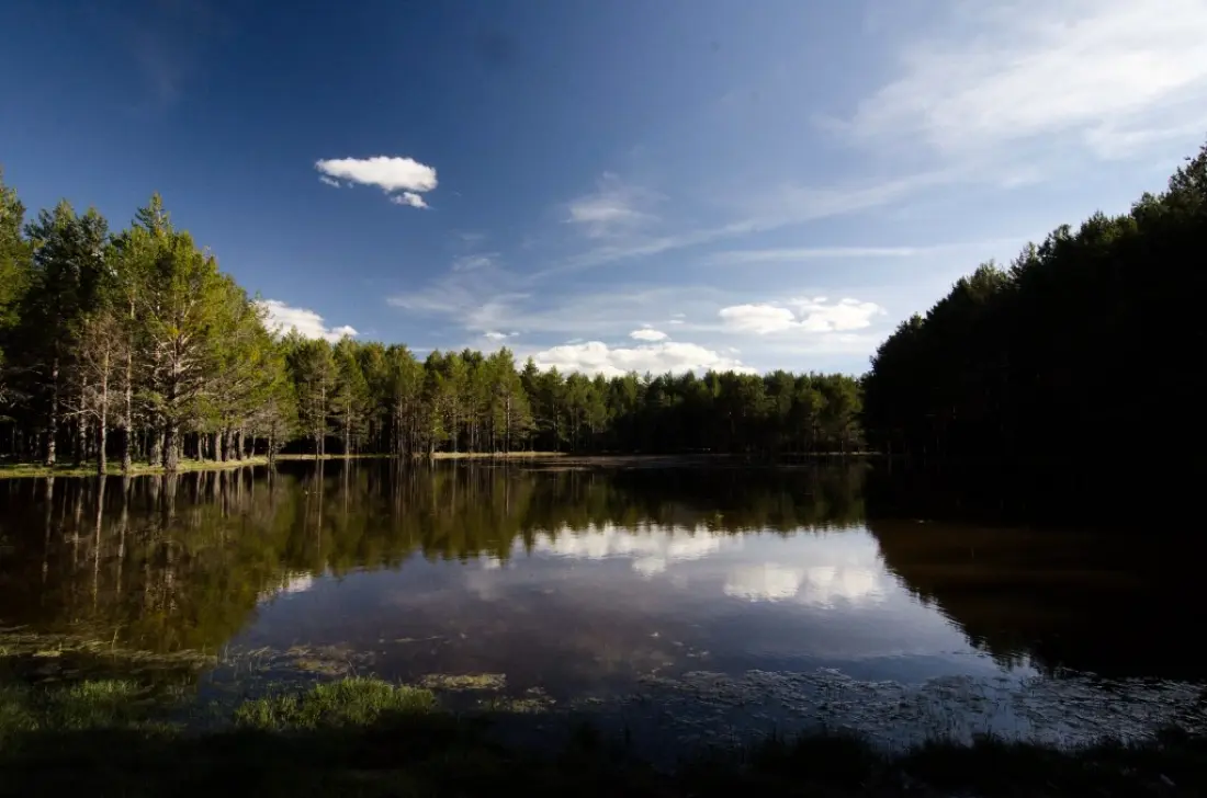 Camping Red Las Corralizas3 étoiles★★★