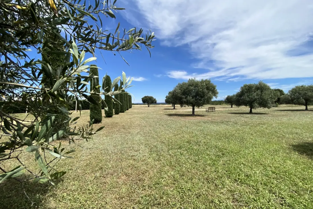 04b2 : Beau Studio Dans Un Mas Provençal - Piscine