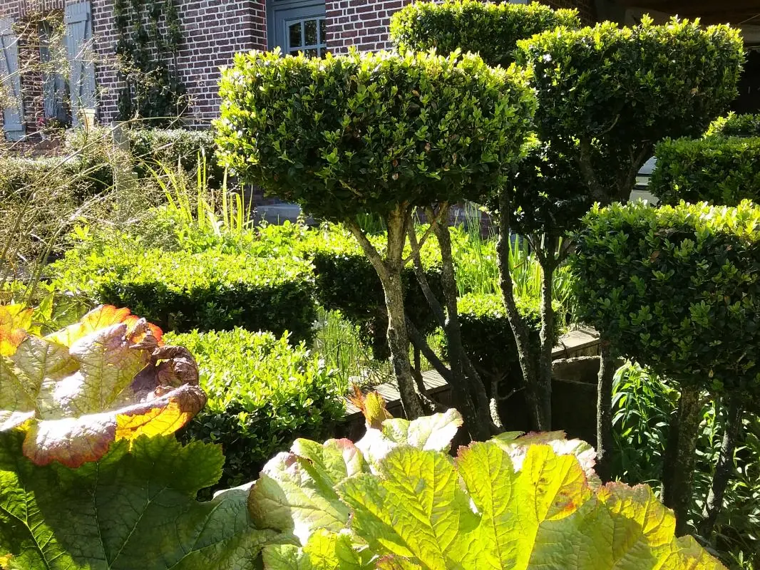 Gîte de France Gîtes de france® - le nid d'hirondelles 3 épis