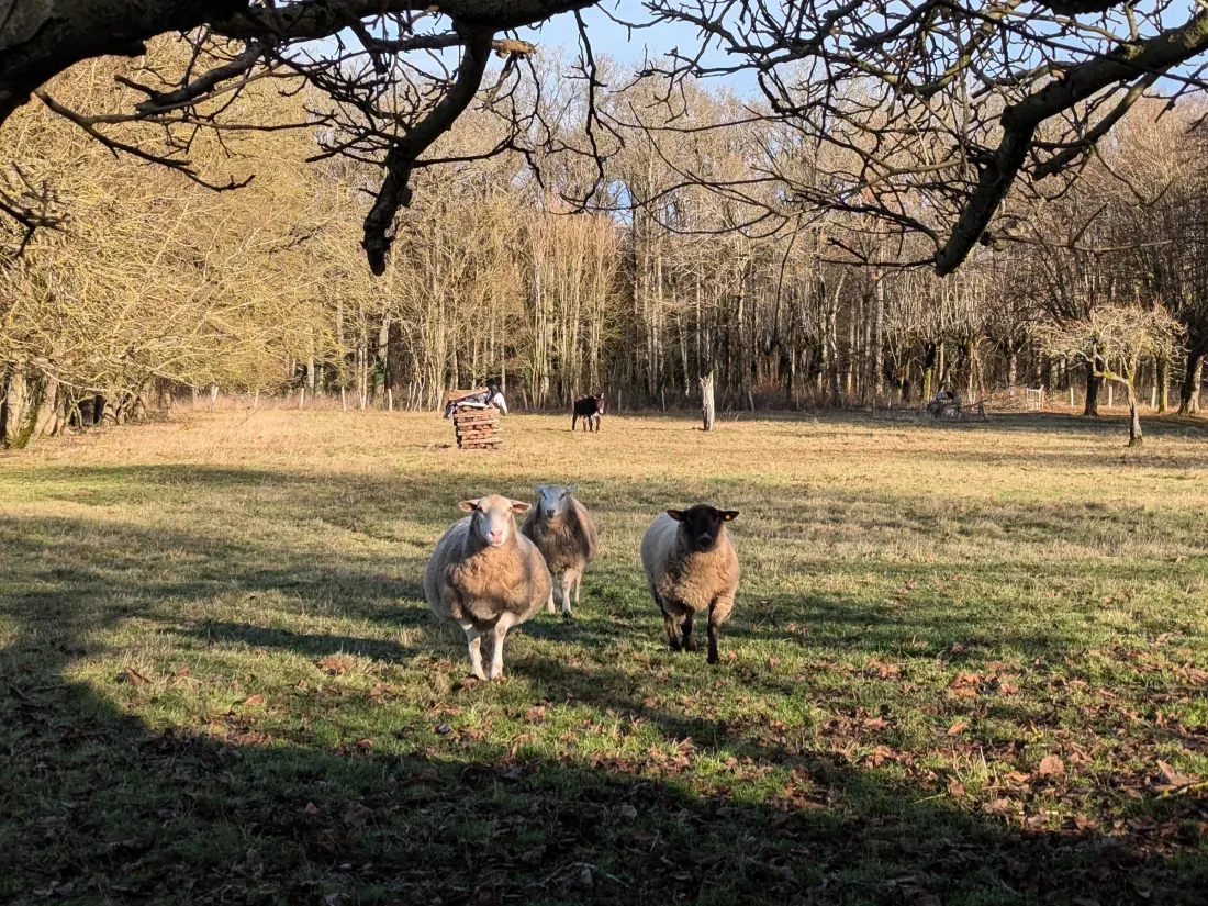 Maison de Vacances BUCY-SAINT-LIPHARD 5