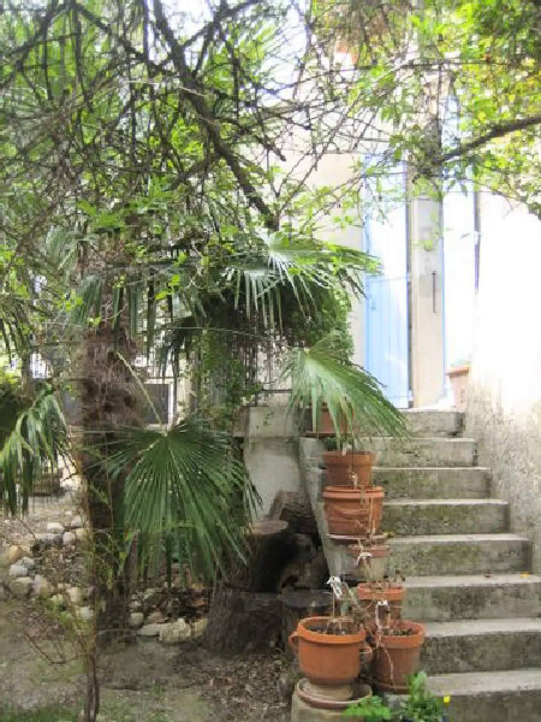 Villa Colibri