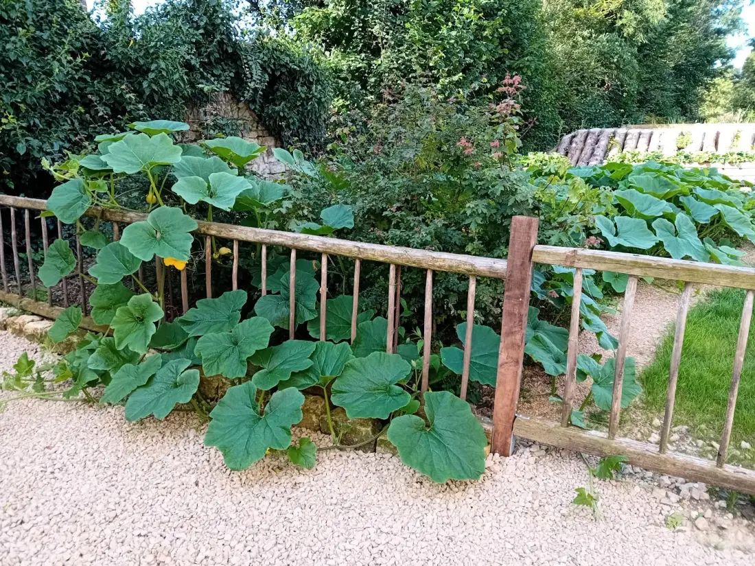 Gîte de France Grain d'orge et cornouiller 3 épis