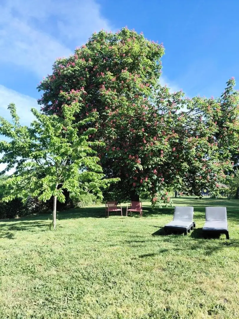 Gîte de France La maison d'eugénie 3 épis