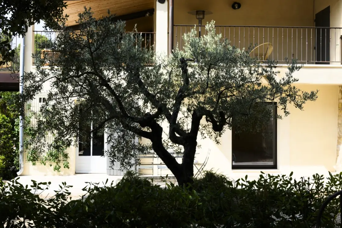 Les Gardis — Mas Provençal D'exception Au Cœur Du Luberon