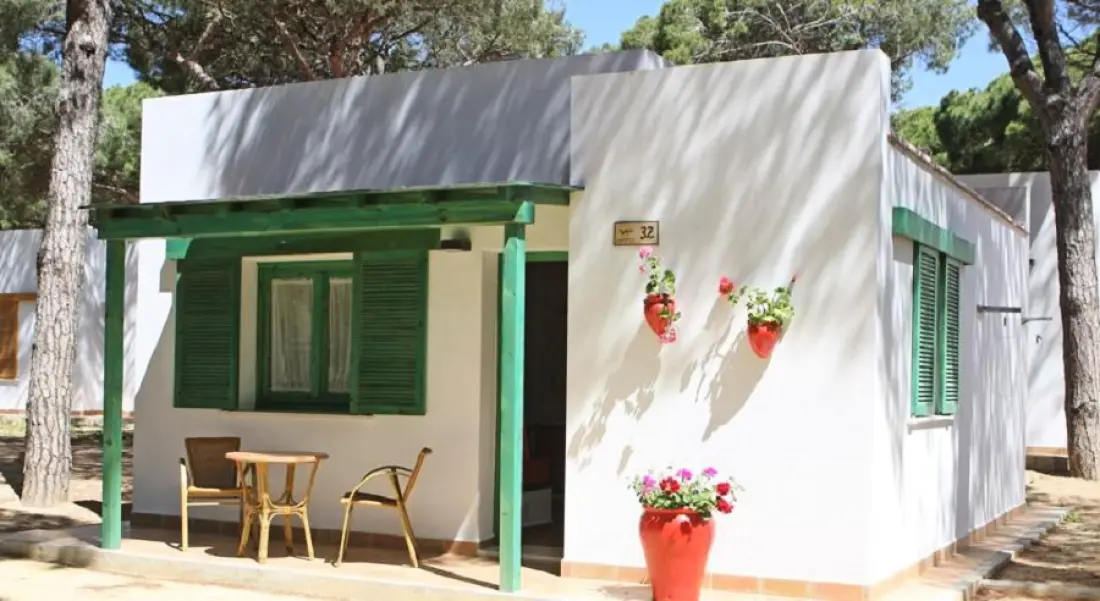 Camping Red Pinar San José4 étoiles★★★★