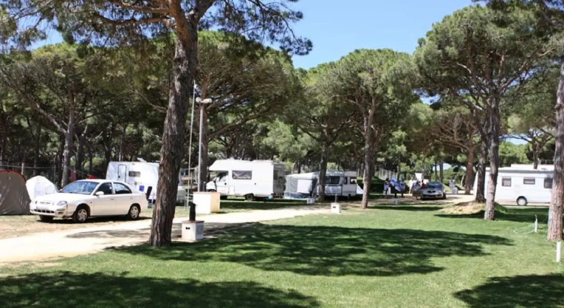 Camping Red Pinar San José4 étoiles★★★★