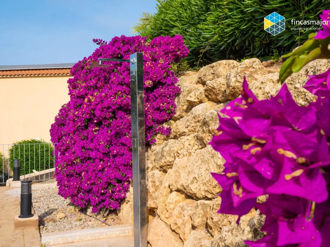 Maison de Vacances Cala Romantica 4
