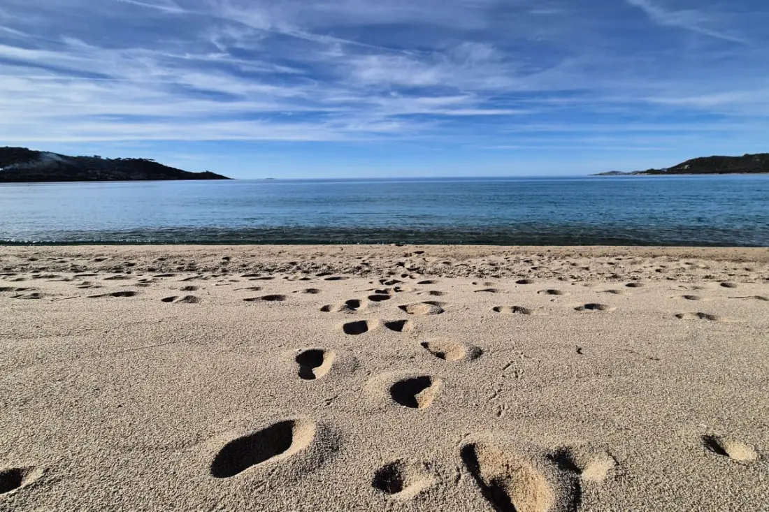 Charmant Cocon Refait à Neuf Avec Vue Mer