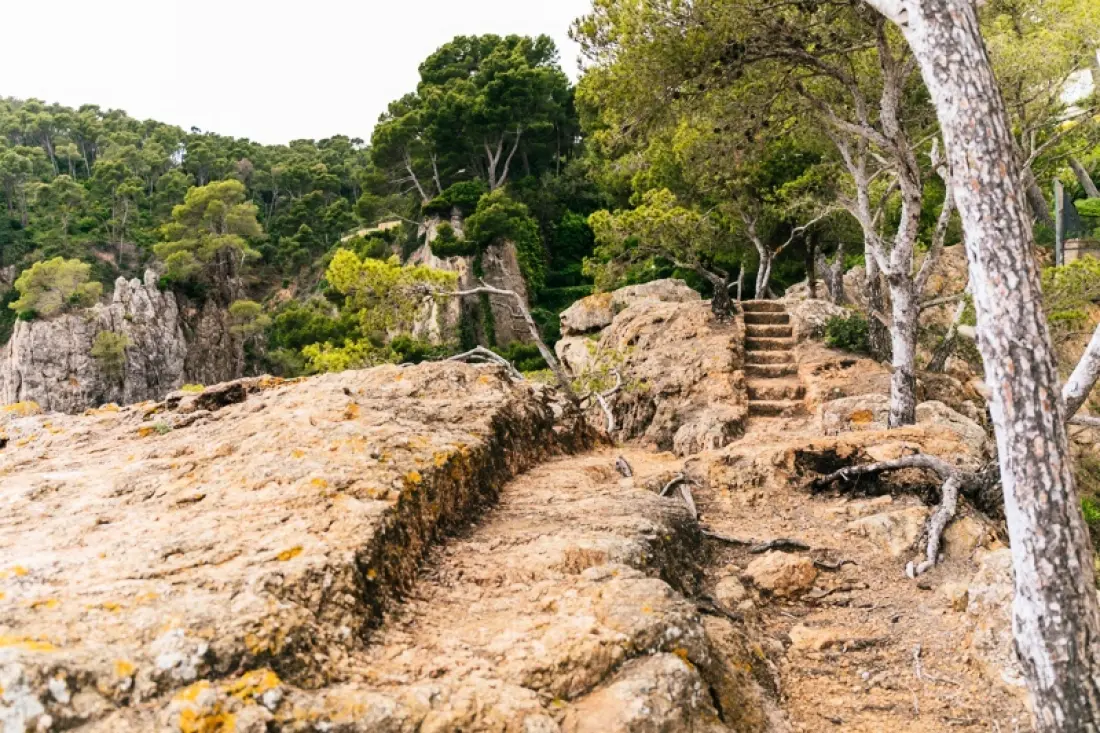 Camping Calella de Palafrugell4 étoiles★★★★