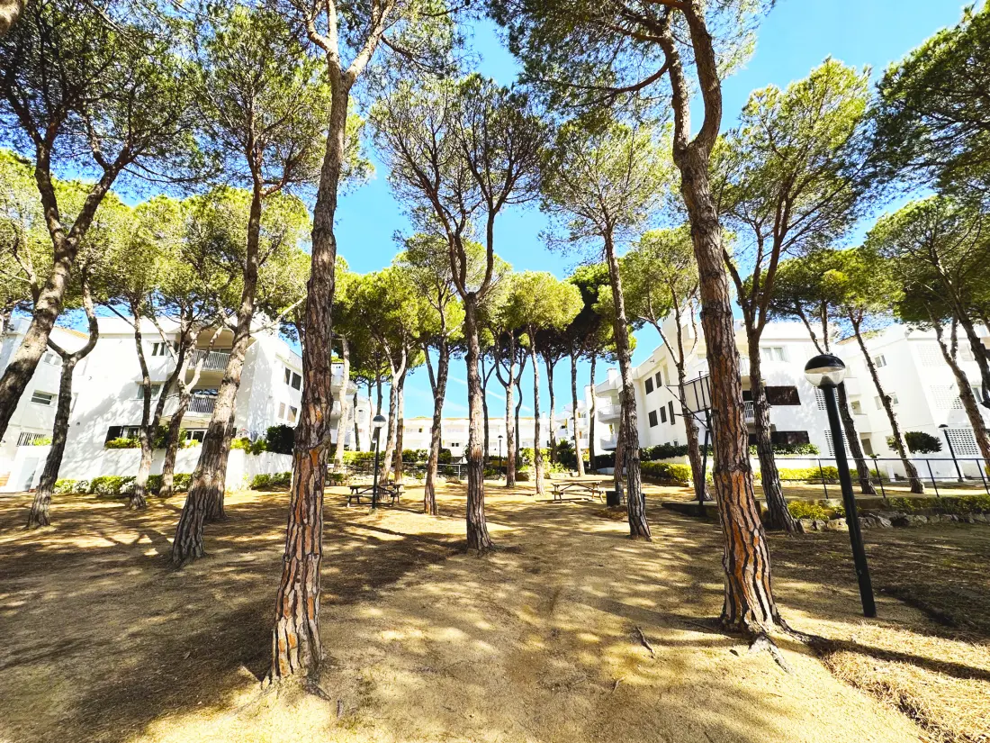 Location de Vacances Calella de Palafrugell 125