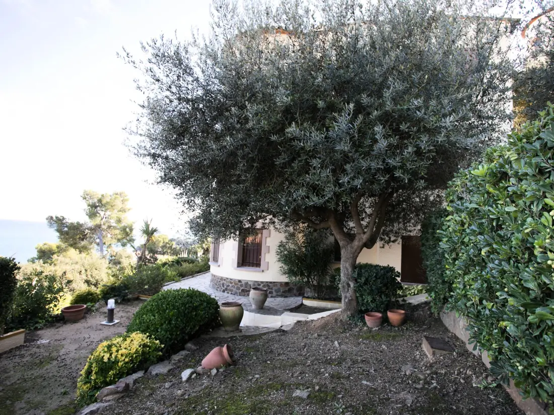 Location de Vacances Calella de Palafrugell 158
