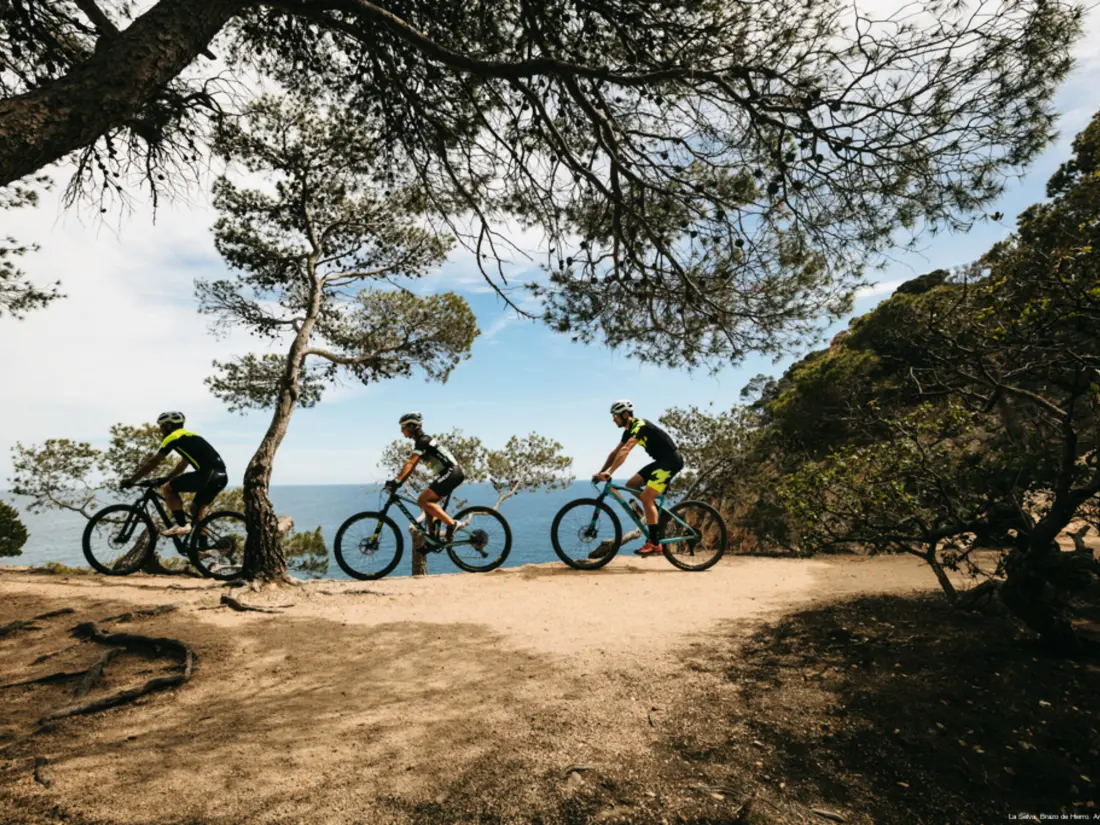 Location de Vacances Calella de Palafrugell 244