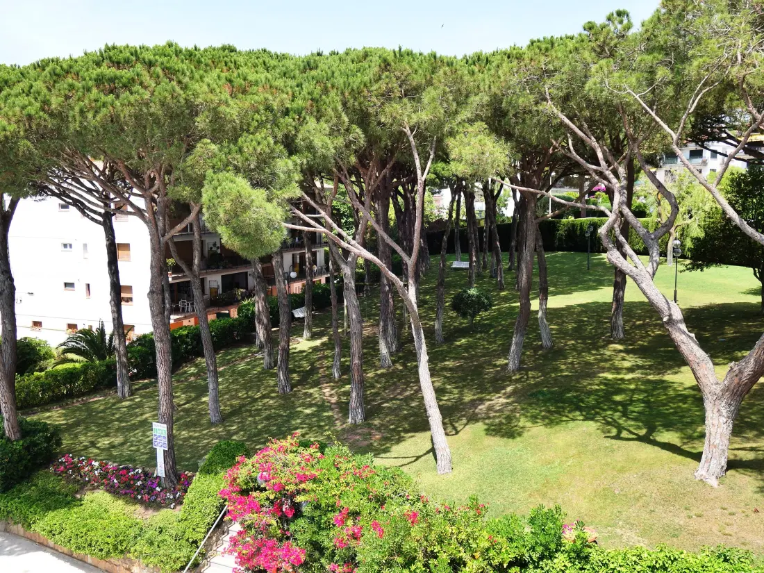 Location de Vacances Calella de Palafrugell 50
