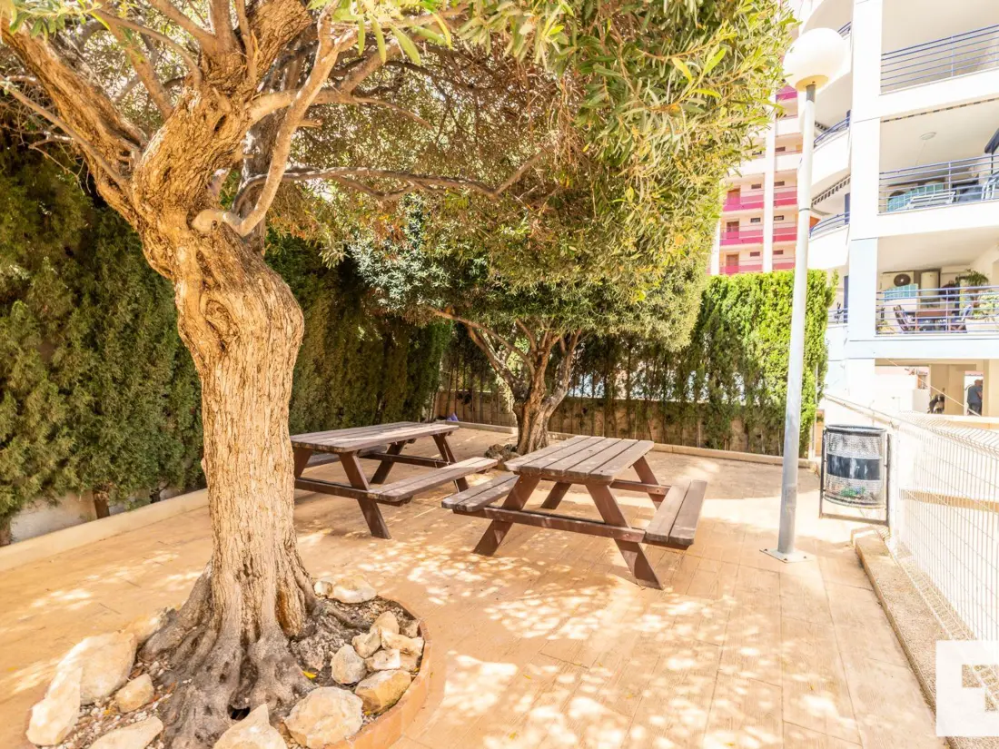 Location de Vacances Calp 141
