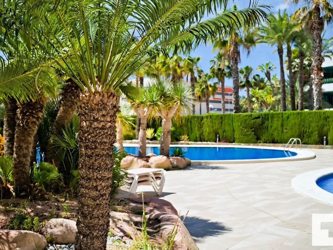 Location de Vacances Calp 169