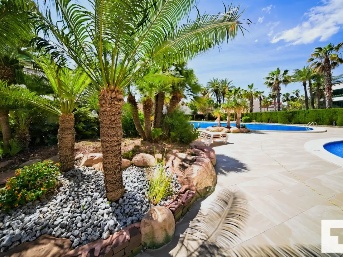 Location de Vacances Calp 169