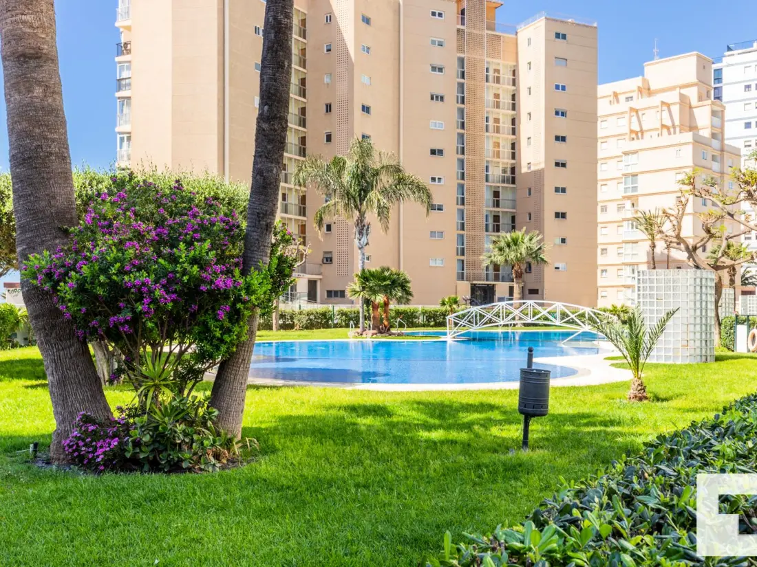 Location de Vacances Calp 175