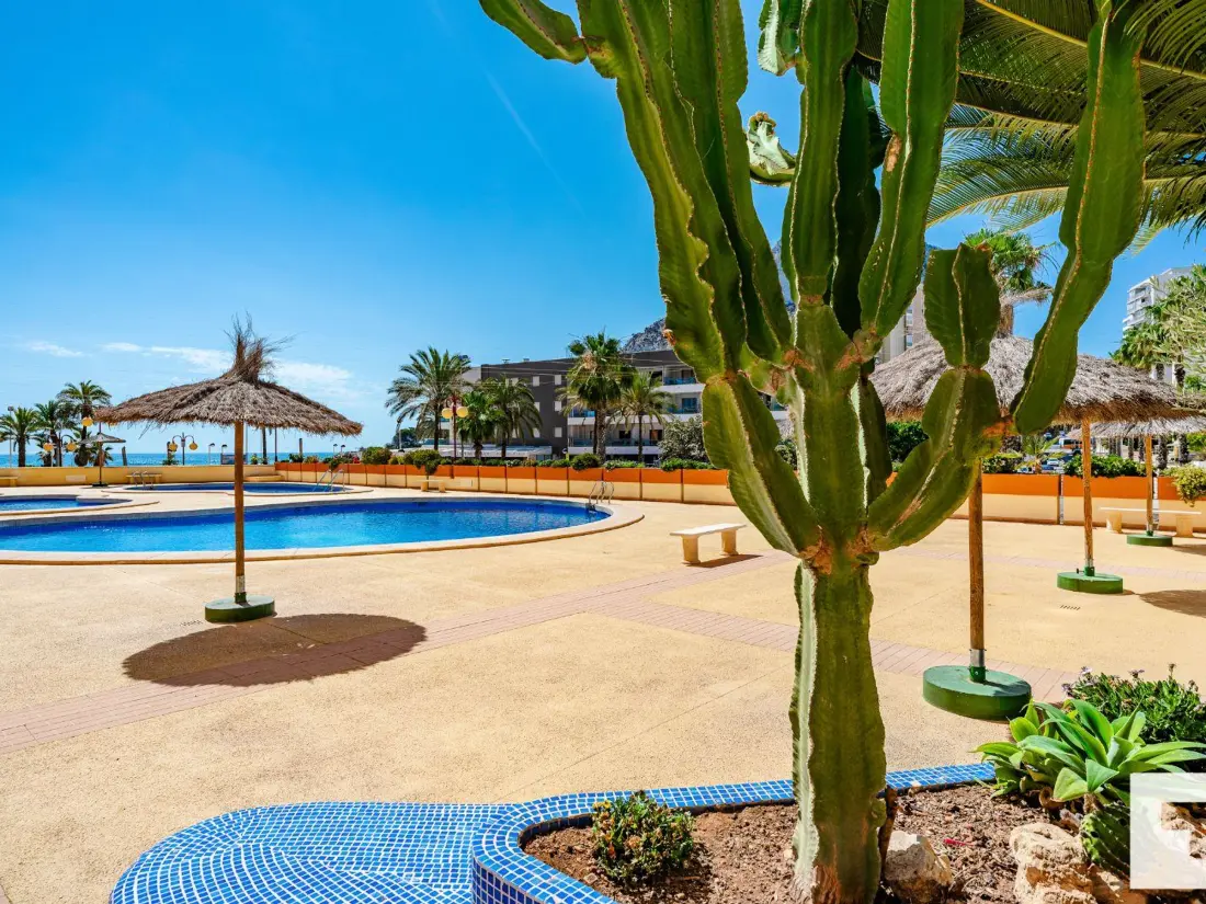 Location de Vacances Calp 197