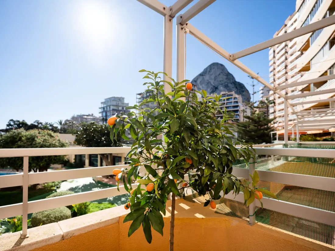 Location de Vacances Calp 203