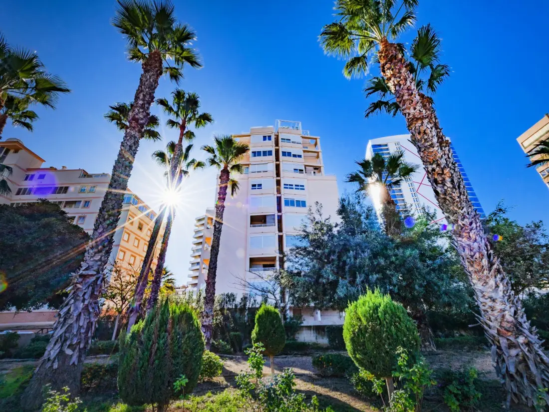 Location de Vacances Calp 393