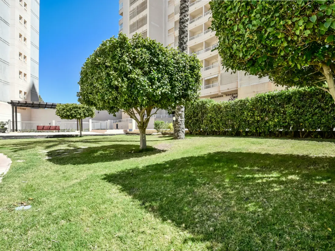 Location de Vacances Calp 399