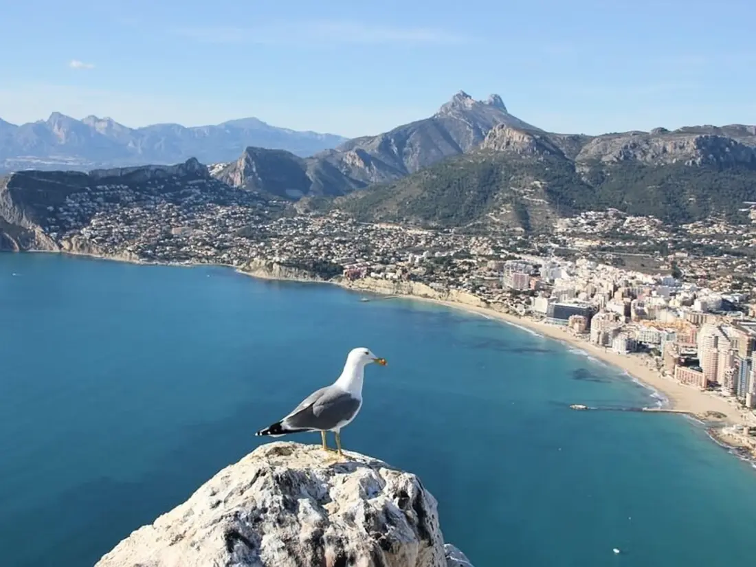 Maison de Vacances Calp 322