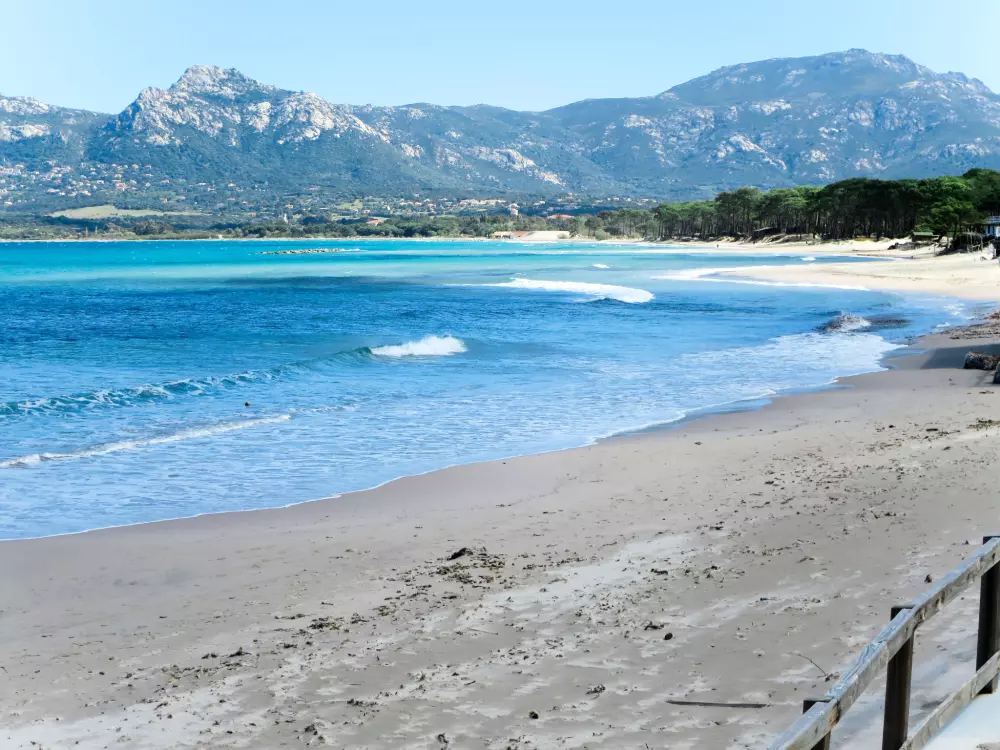 Résidence studio 18-20m2