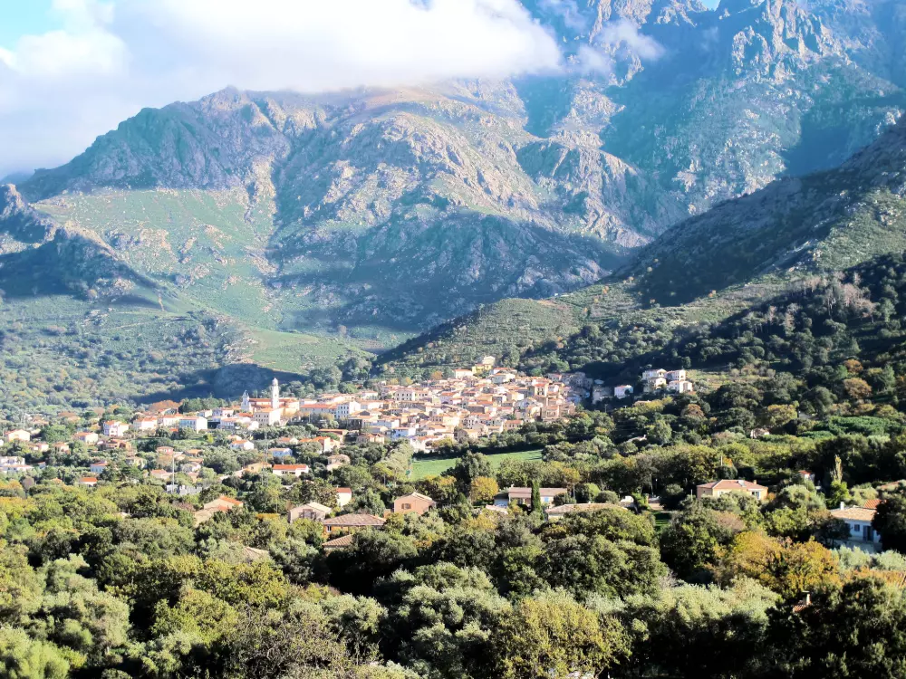 Résidence studio 18-20m2