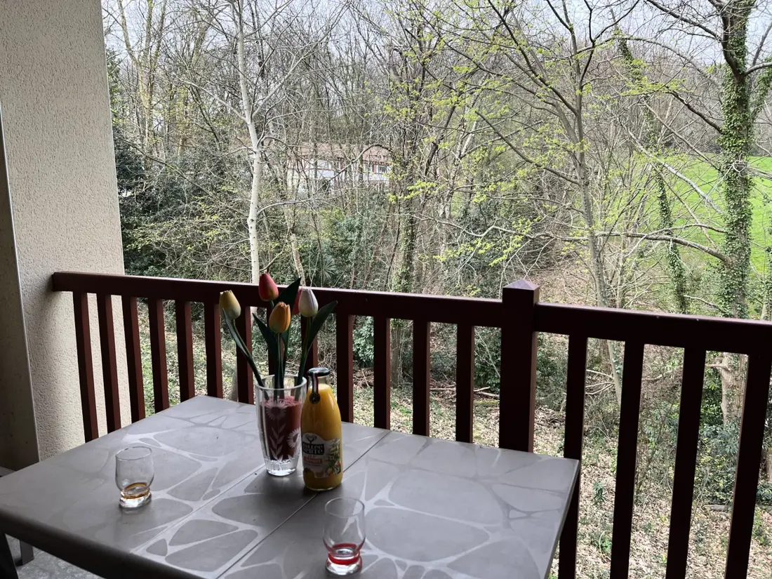 Location de Vacances Cambo-les-Bains 95