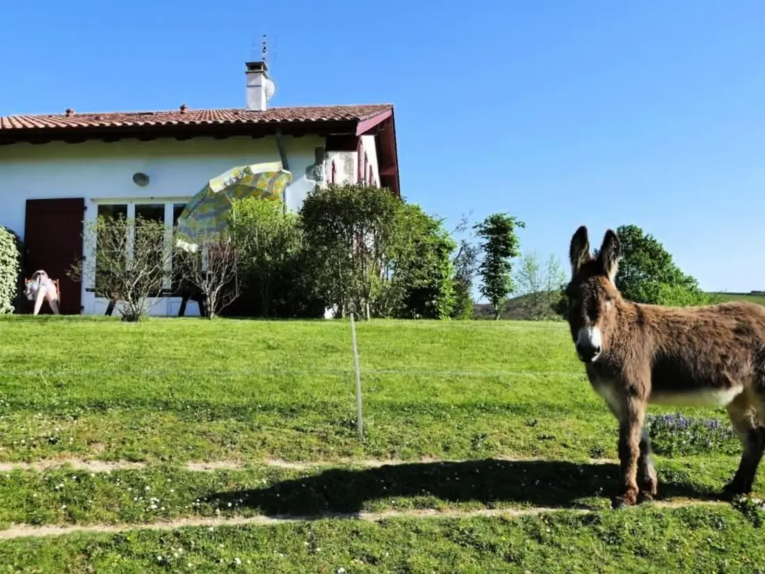 Location de Vacances Cambo Les Bains