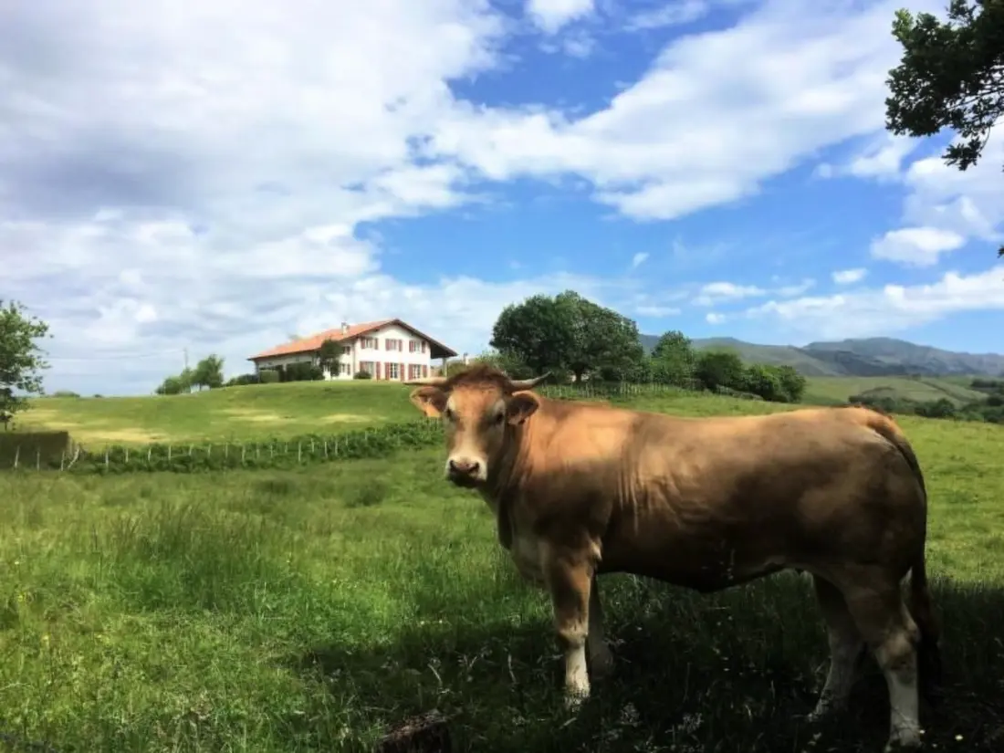 Location de Vacances Cambo Les Bains