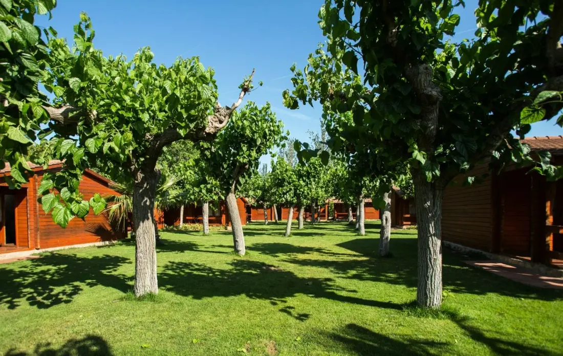 Camping La Llosa by Viajes Velero