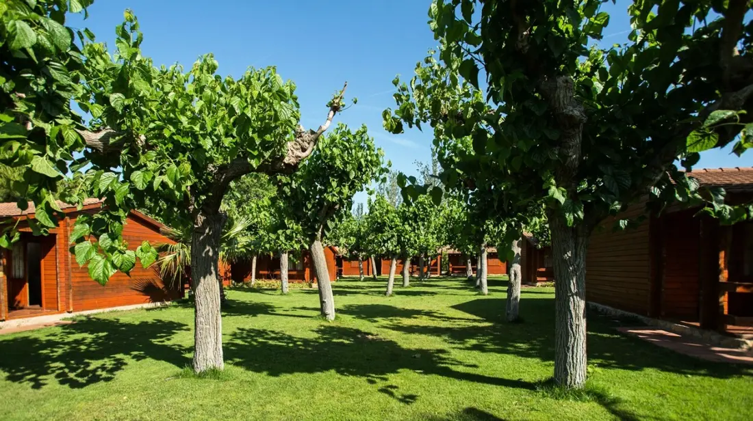 Camping Odalys La Llosa
