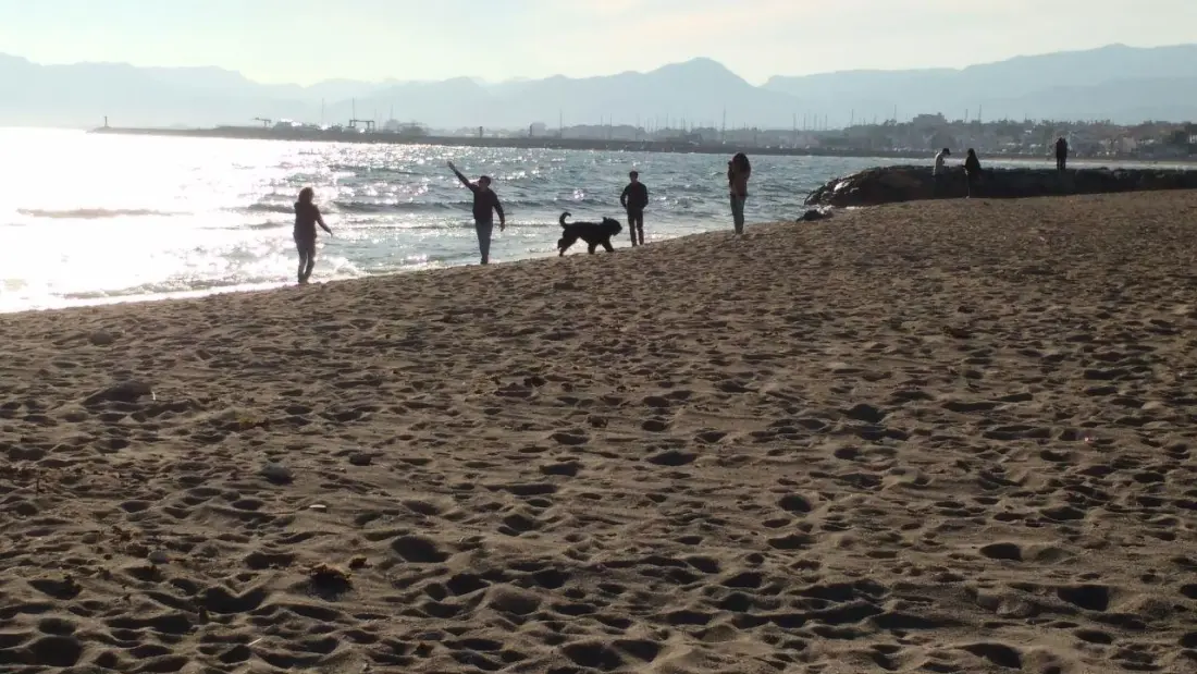 Camping Platja Cambrils by Viajes Velero 2 étoiles★★