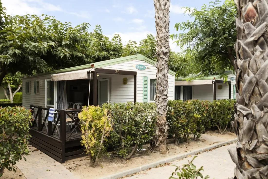 Camping Platja Cambrils by Viajes Velero 2 étoiles★★