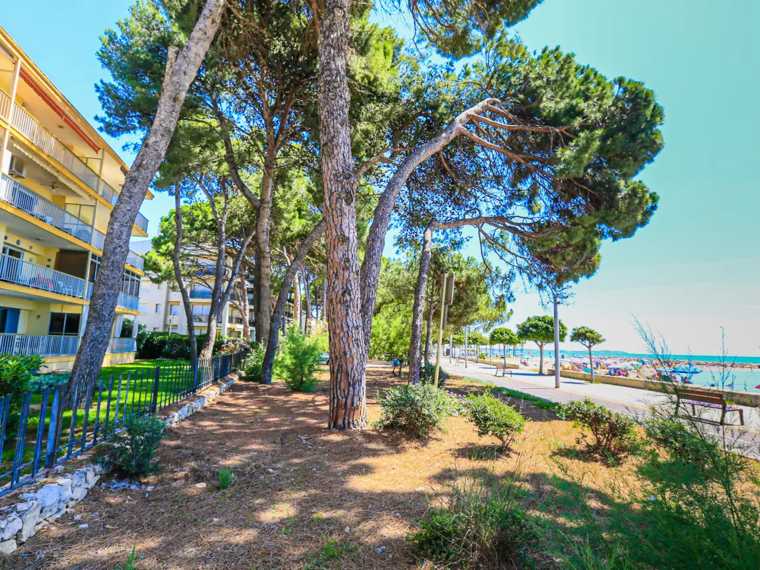 Location de Vacances Cambrils 155