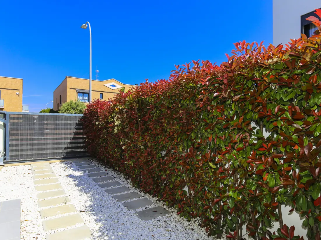 Maison de Vacances Cambrils 291