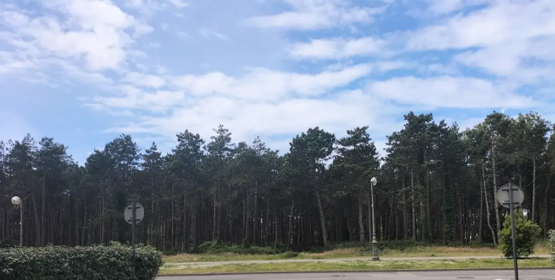 Joli T2 Avec Jardin En Bord De Mer