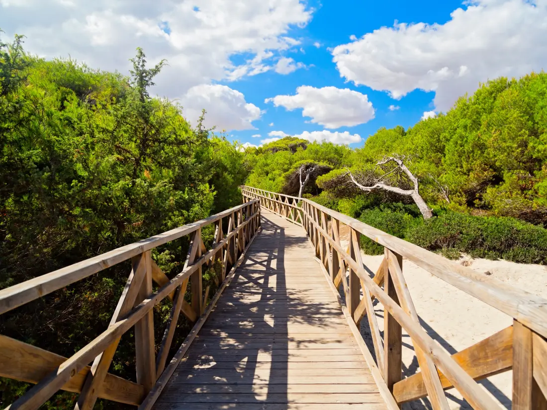 Location de Vacances Can Picafort 212