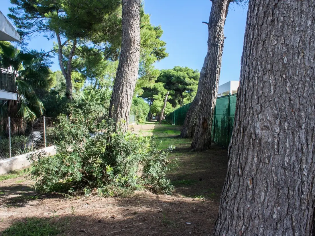 Maison de Vacances Can Picafort 186
