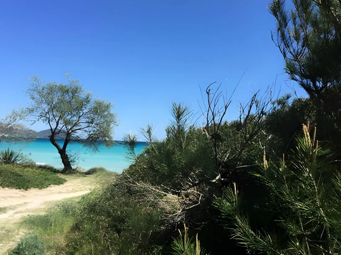 Maison de Vacances Can Picafort 205