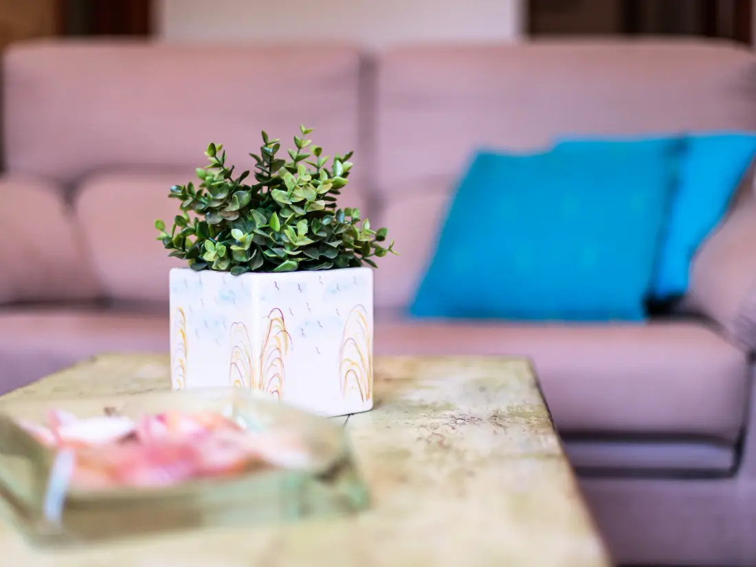 Maison de Vacances Can Picafort 222